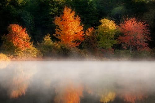 Customer photo review of 8x12 Giclee Fine Art Prints