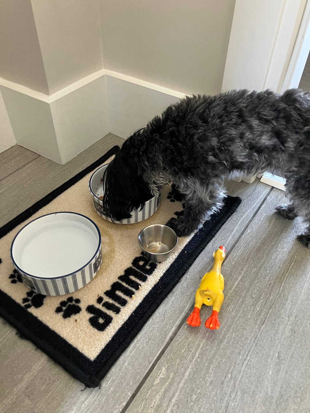 Customer photo review of Vrac Nature's Own - Batonnets oesophage de boeuf pour chien