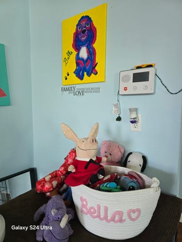 Customer photo review of Basket Size