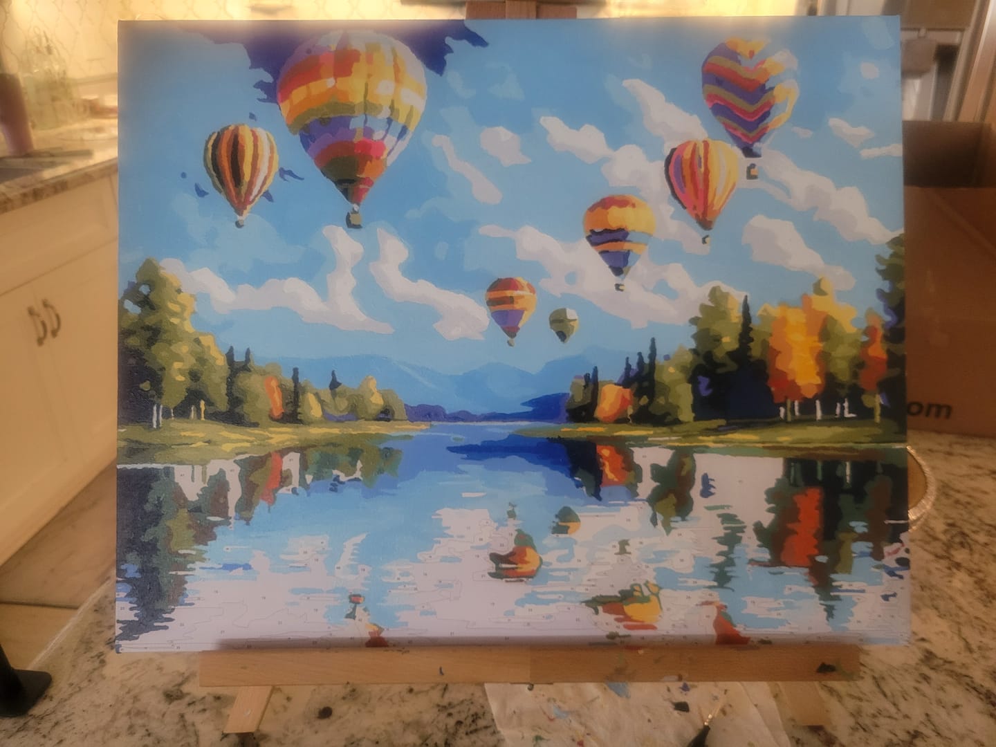 Customer photo review of Hot Air Balloon Showcase