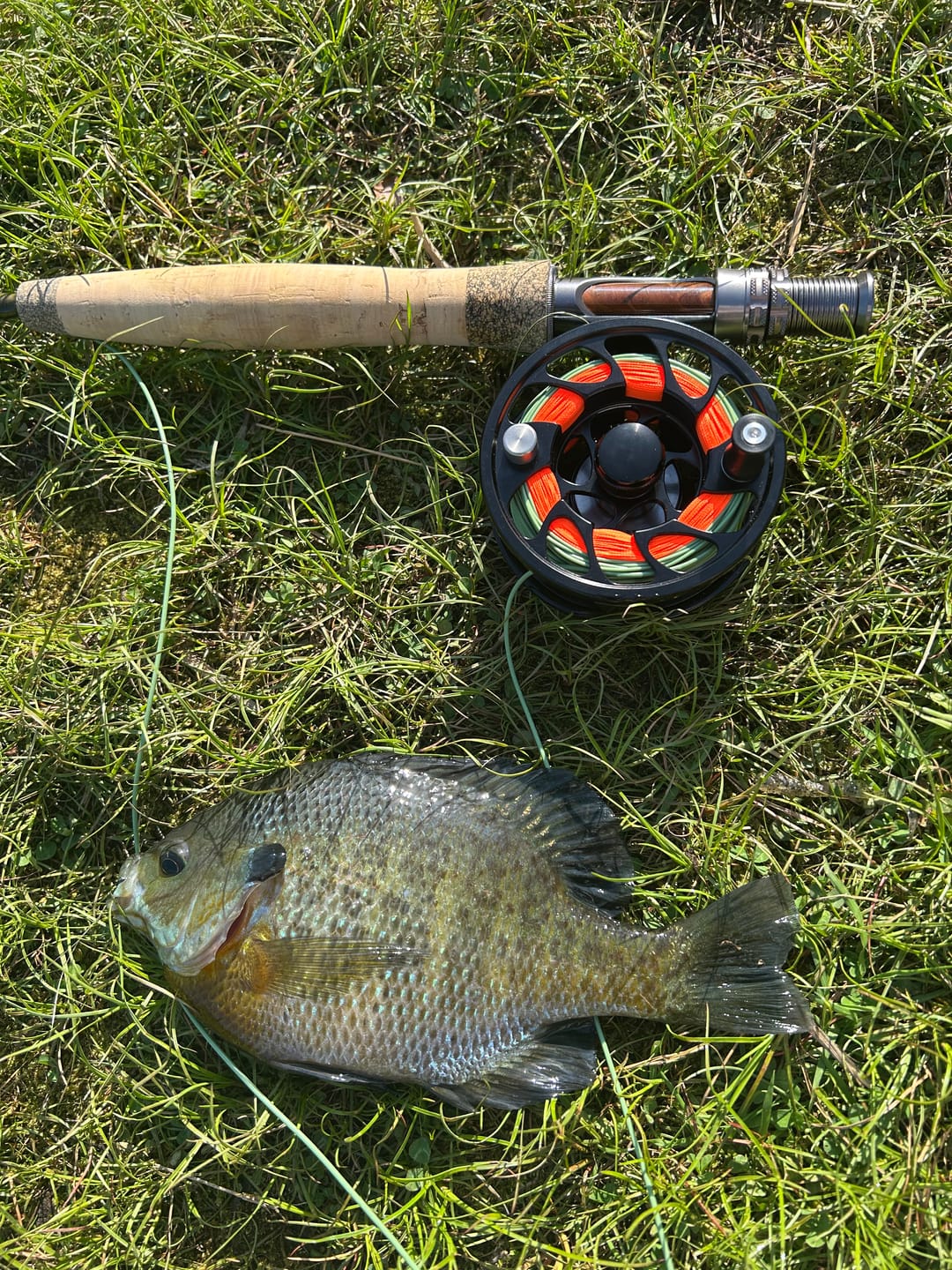 Customer photo review of Missouri River Rod Combo Kit – 8'6" 5WT
