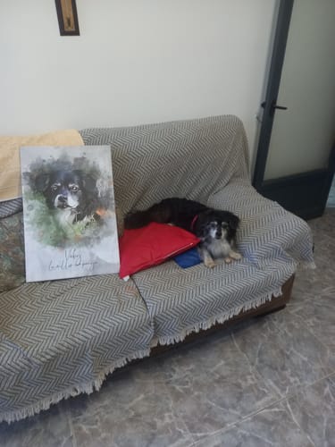 Customer photo review of Foto de tu mascota en estilo acuarela | Regalo para cachorros, perros y gatos