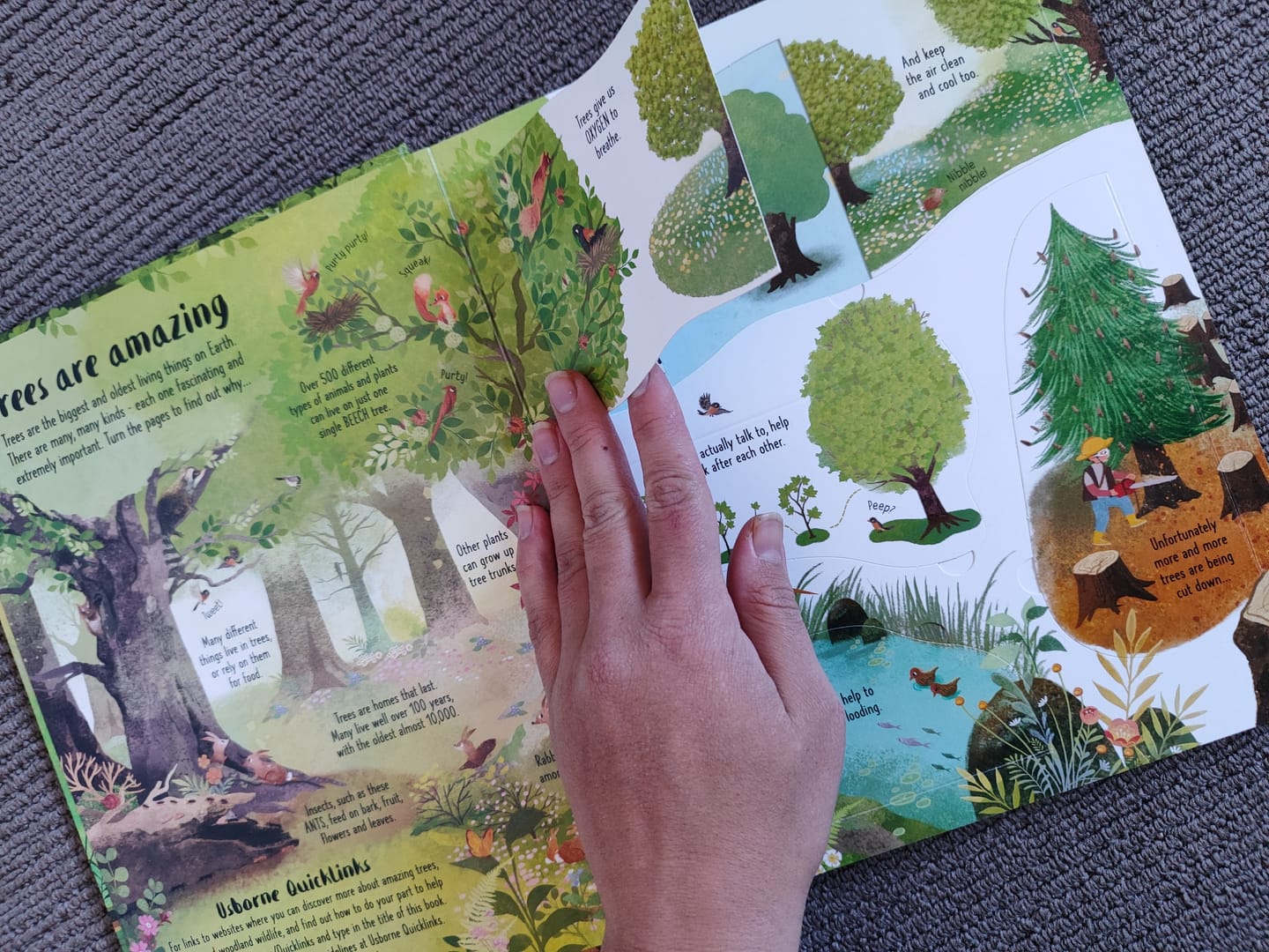 Customer photo review of Lift-the-Flap Trees