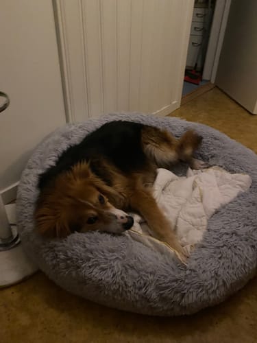 Customer photo review of CalmBed - Motverkar stress & hjälper mot ångest