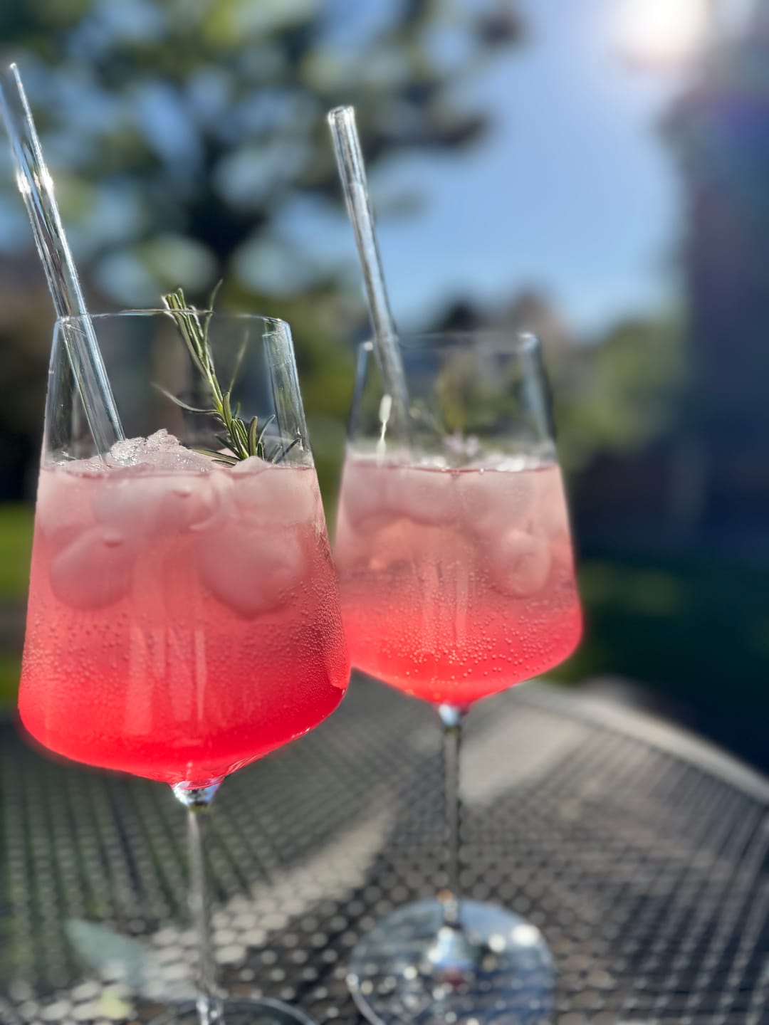 Customer photo review of VinTonic Rosé  | 6 x 0,75 L