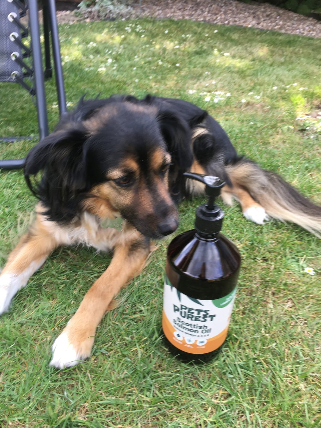Customer photo review of Natural Scottish Salmon Oil