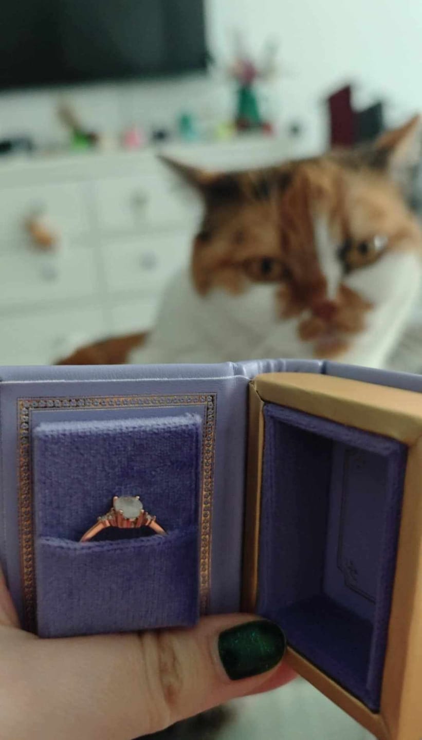 Customer photo review of Enchanted night sky book ring box