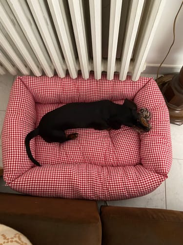 Customer photo review of Divanetto Cotone Vichy Rosso