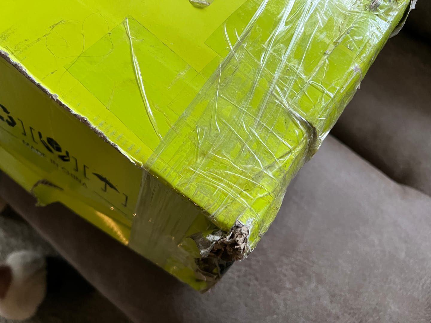 Customer photo review of VisST See-Through Pop-Up Ground Blinds with Silent Magnetic Door