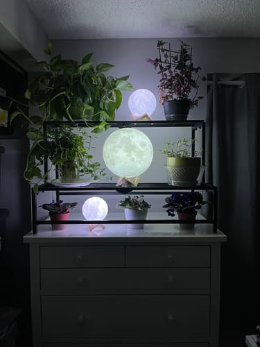 Customer photo review of The Original Moon Lamp