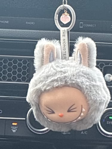 Customer photo review of Labubu Plush Keychain