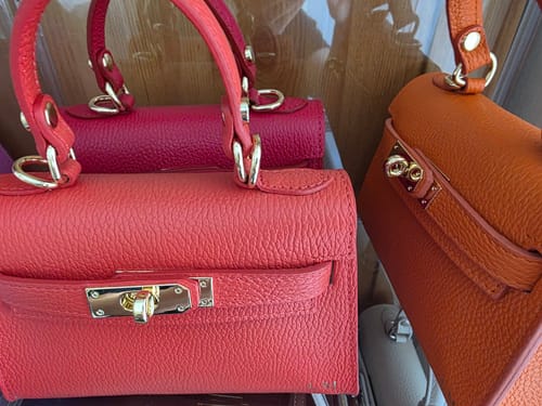 Customer photo review of The Kate Bag