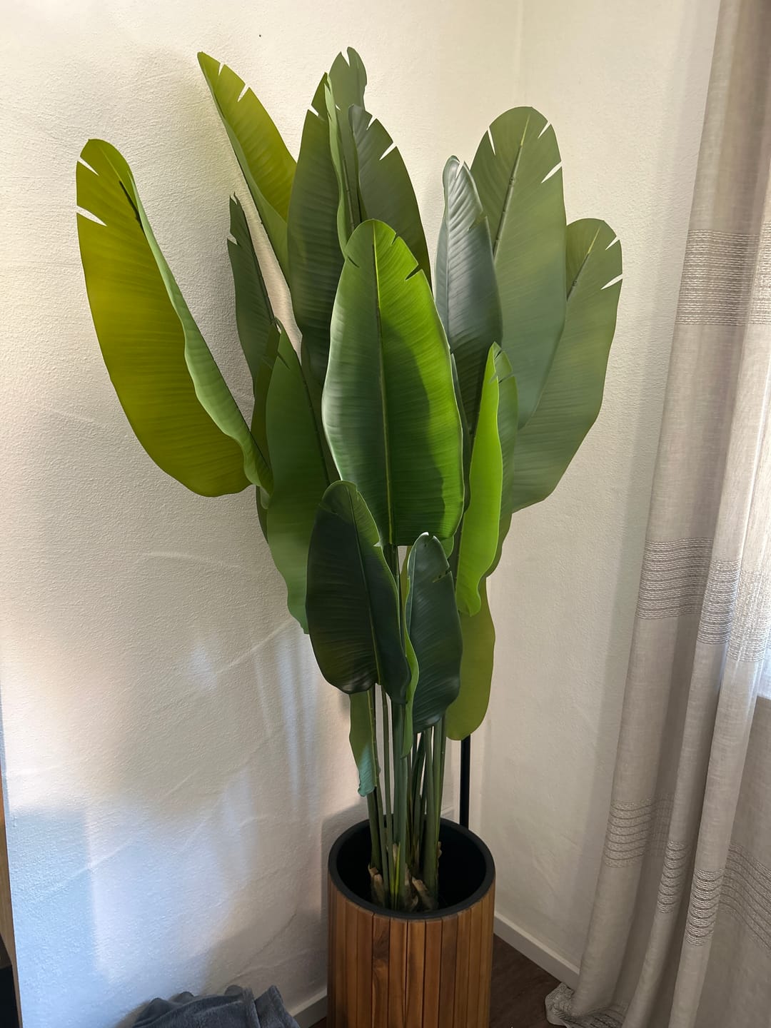 Customer photo review of Strelitzie Kunstpflanze 180cm