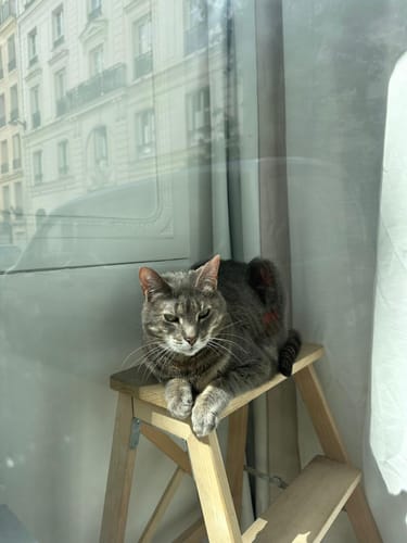 Customer photo review of Patsli Belly