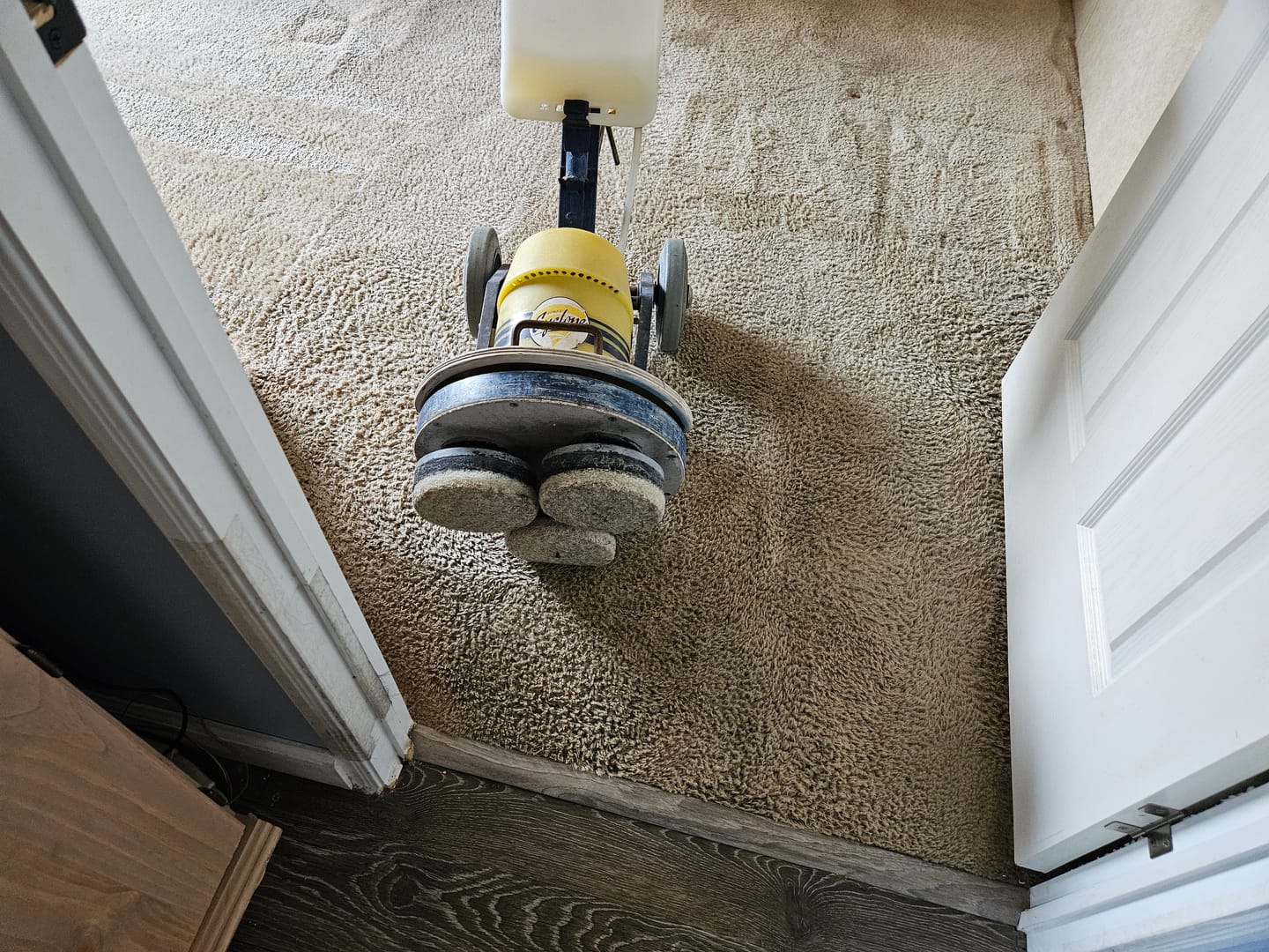 Customer photo review of FiberPlus Carpet Cleaning Pads 6.5 inch (case of 15)