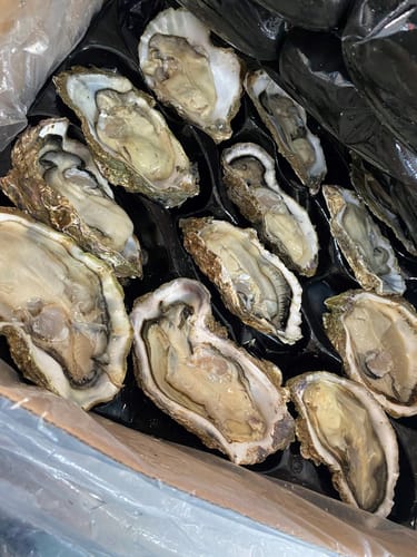 Customer photo review of Frozen Half Shell Pacific Oyster Box