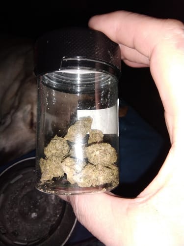 Customer photo review of THC Moonrock Nuggs Flower D8 THCp THCa Infused OG KUSH HYBRID 7 GRAMS 31.6%