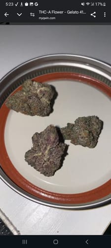 Customer photo review of Larry Bird 33