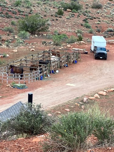 Customer photo review of Ready Made Portable Horse Corrals: (EconoLine 8 Panels; 3 Rails)