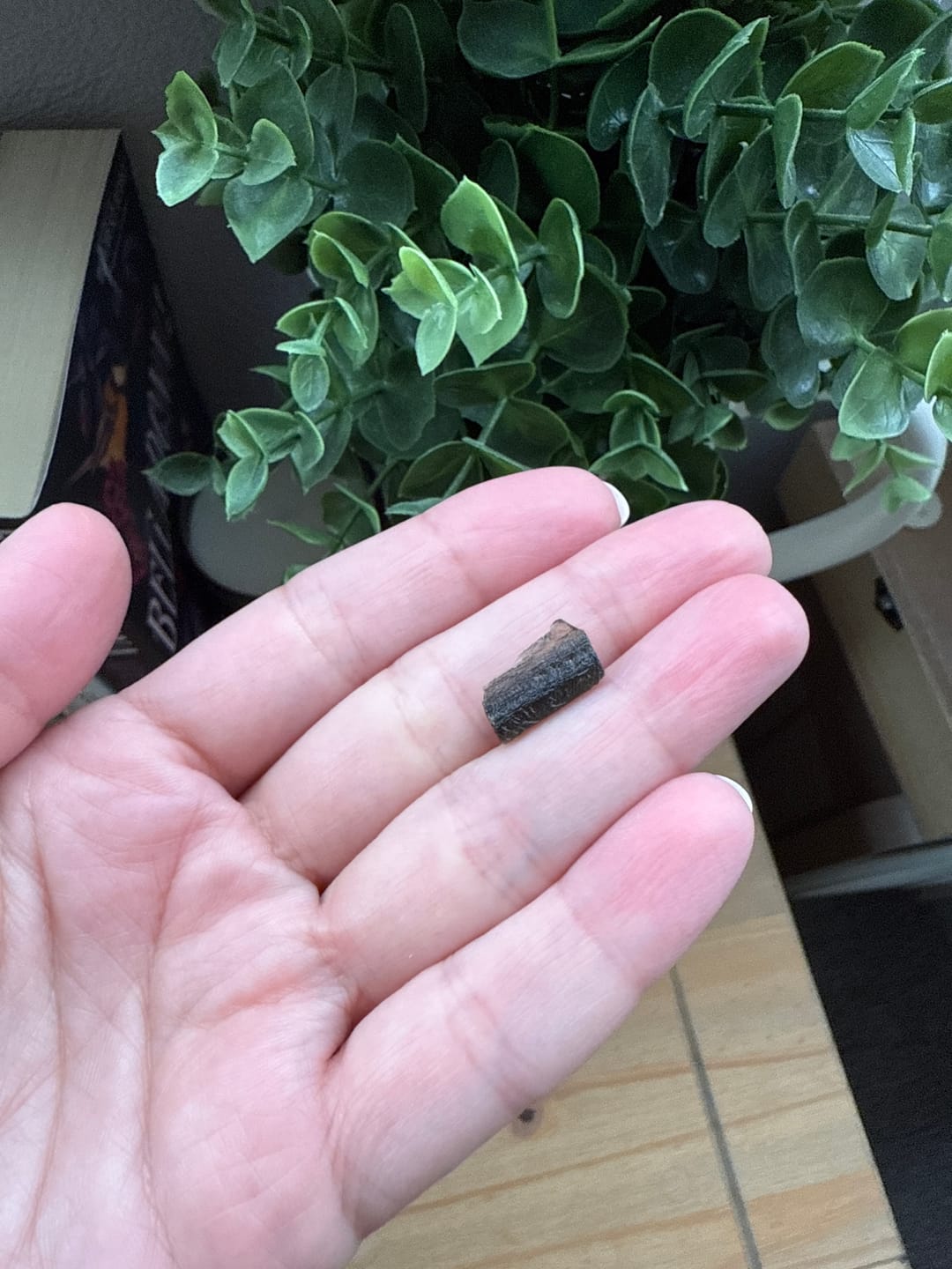 Customer photo review of Moldavite - Rough/raw pieces