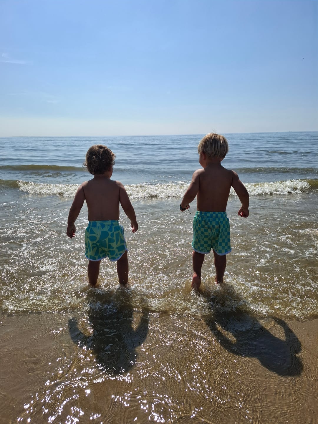 Customer photo review of BEACH COMBER PISTACHE TRUNK