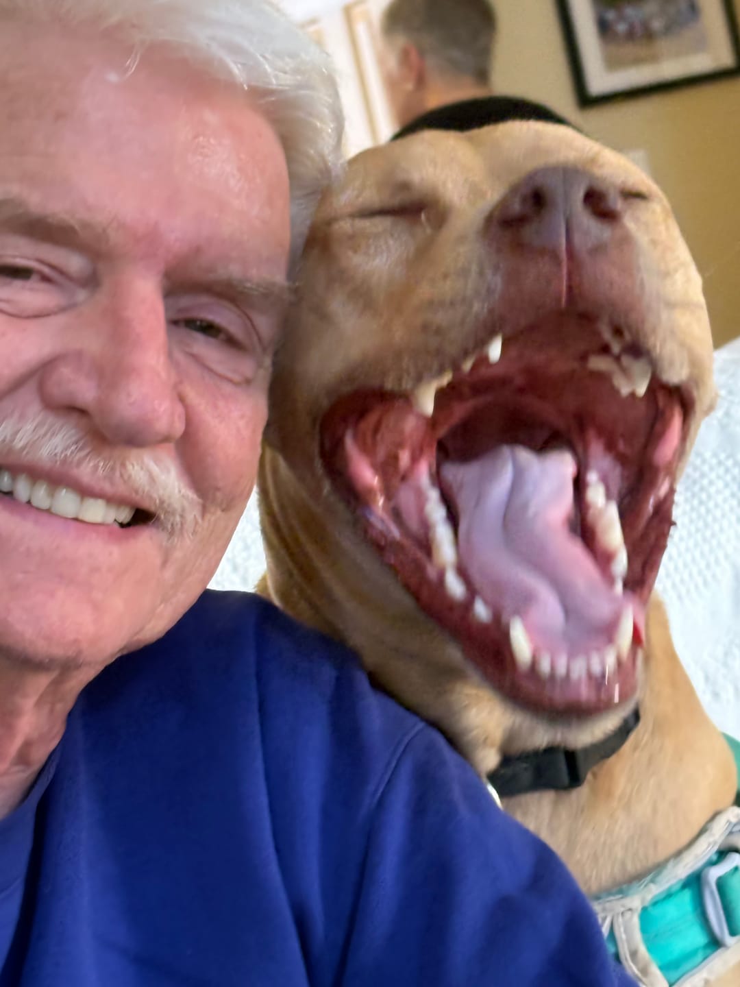 Customer photo review of 6 Inch Extra Thick Bully Sticks