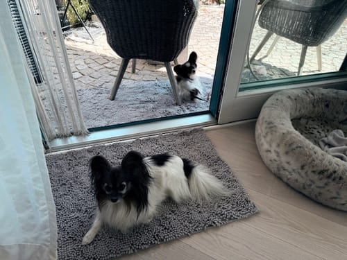 Customer photo review of Premium - CleanyMat