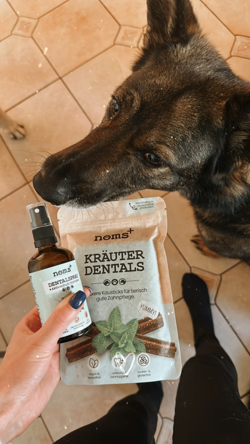 Customer photo review of Kräuter Dentals für Hunde zur Zahn- und Darmpflege (150g)