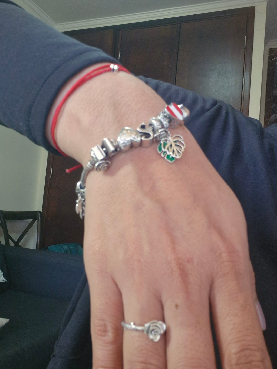 Customer photo review of Charm Hoja Monstera
