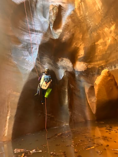 Customer photo review of Guide 50L