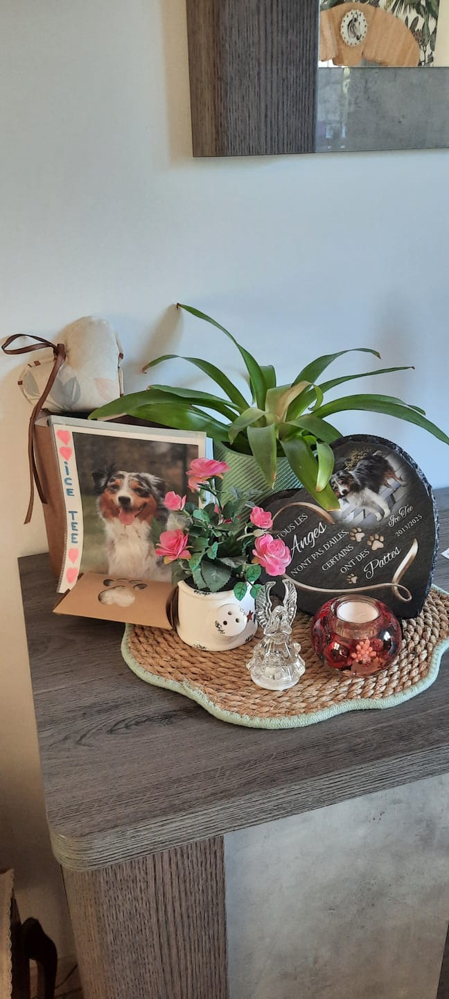 Customer photo review of Anges avec pattes - Cœur en ardoise personnalisé