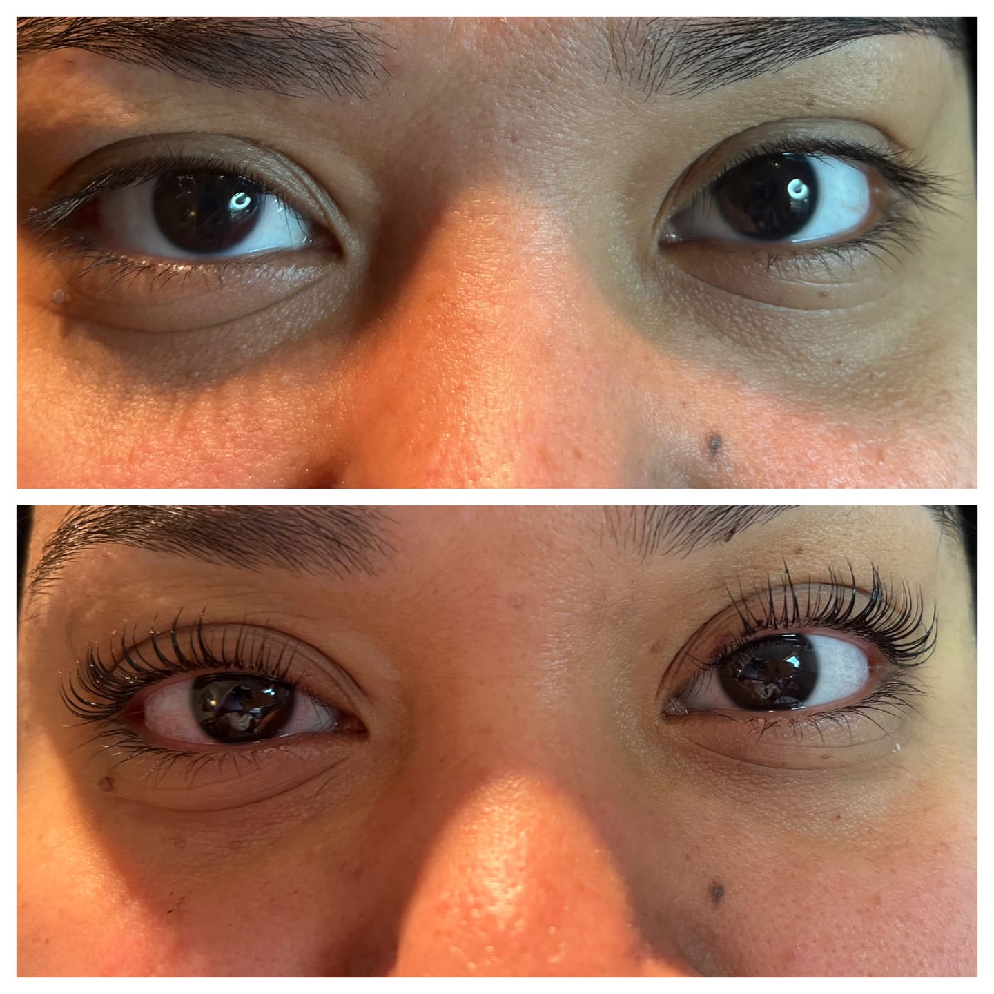 Customer photo review of Lashlift Refill Pack