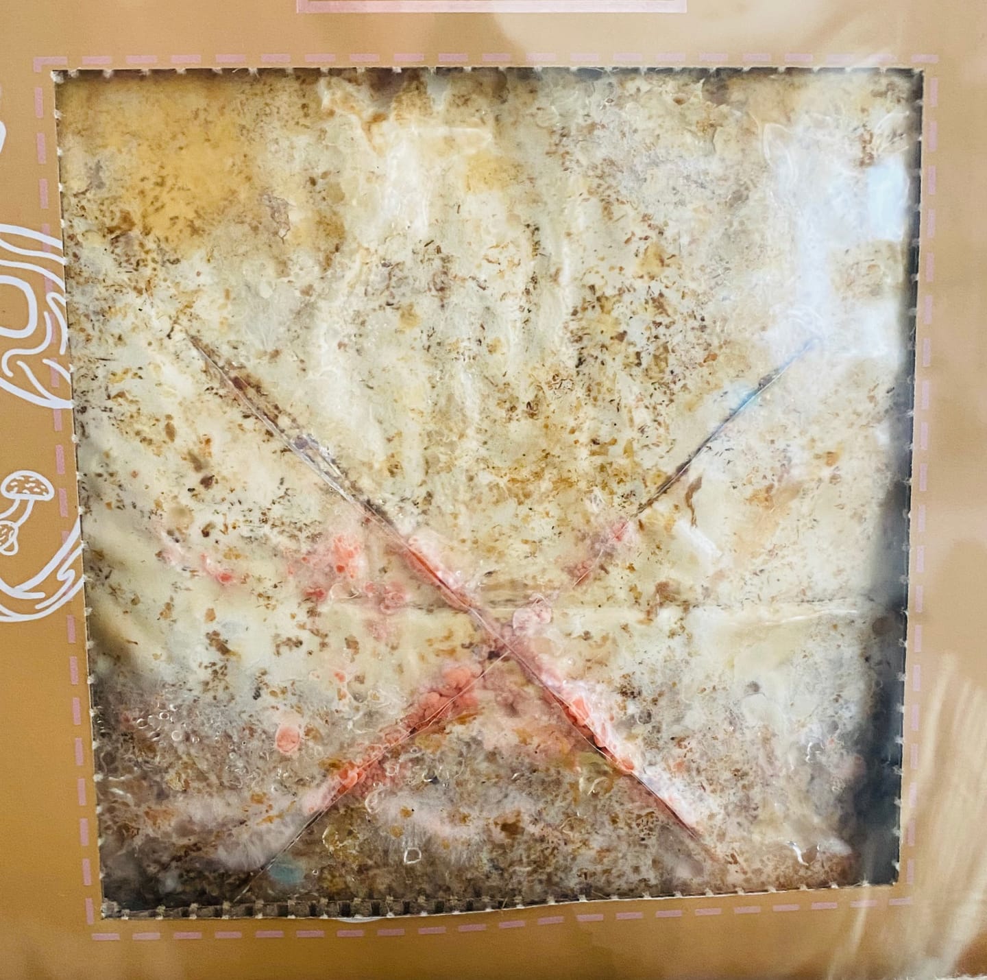 Customer photo review of Essentials Bundle Gift Set + Grow Kit