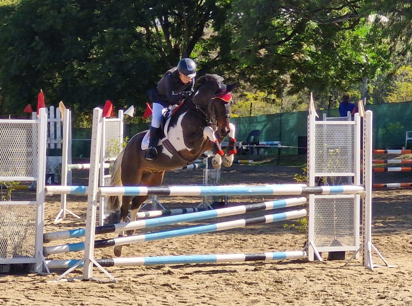 Customer photo review of Flexcare Equine (Joint Supplement For Horses)