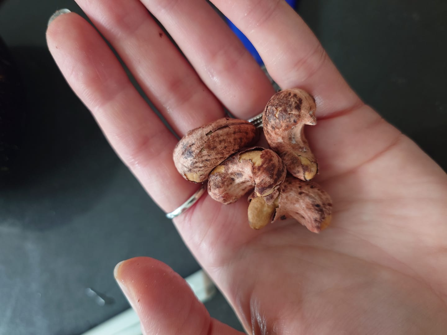 Customer photo review of Roasted salted cashews with skin on