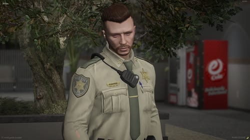 Customer photo review of 2025 BCSO Livery Package