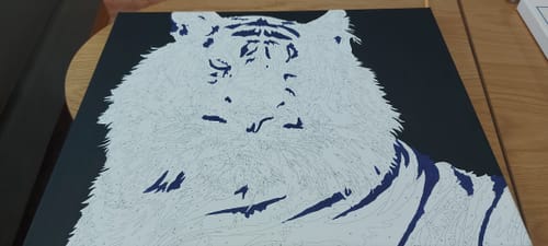 Customer photo review of צביעה לפי מספרים - BS26176