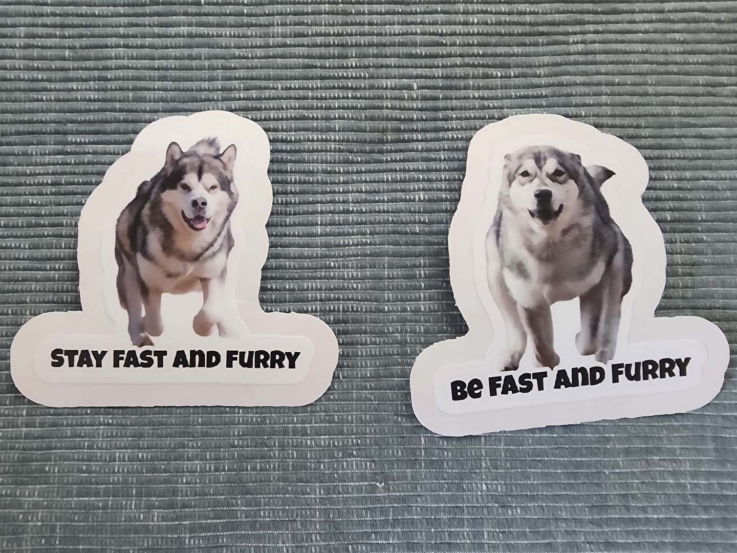 Customer photo review of Face Stickers﹘ Die-Cut Stickers