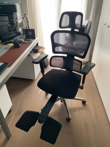 Customer photo review of Newtral NT002 Ergonomic Home Office Chair with Auto-following Lumbar Support