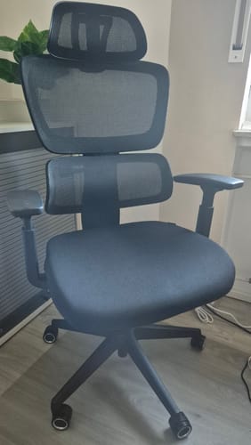 Customer photo review of MOVE