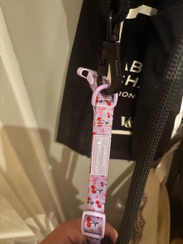 Customer photo review of 4ft Rope Lead - Black