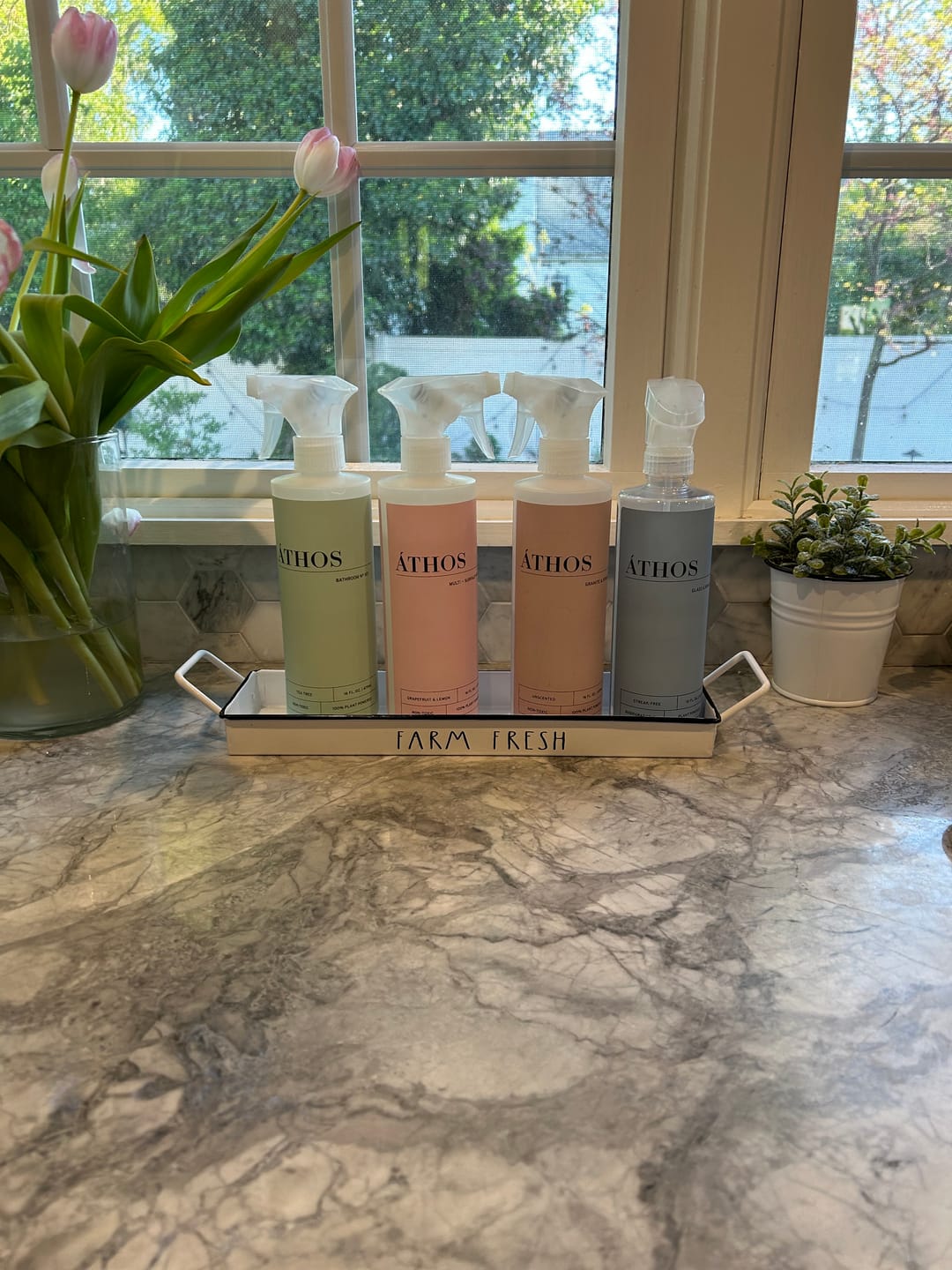 Customer photo review of Stone Shine & Polish Concentrate 4x