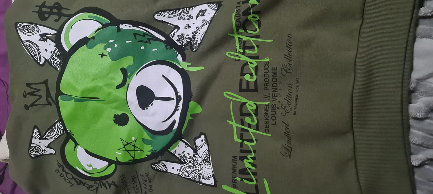 Customer photo review of SUDADERA CON CAPUCHA "FASHION BEAR" - VERDE/VERDE - LOUIS VENDOME PARIS | LV L05