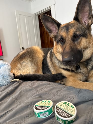 Customer photo review of Mountain Wintergreen Nicotine Pouches