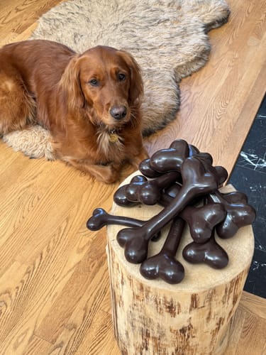 Customer photo review of Give A Dog A Bone!