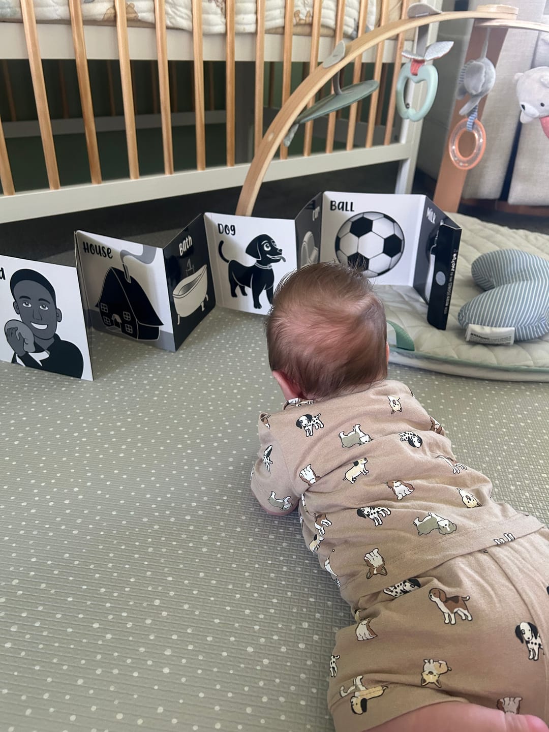 Customer photo review of Little Wonder High Contrast Baby Gift Set