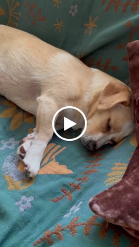 Customer video review of Easy Squeezy