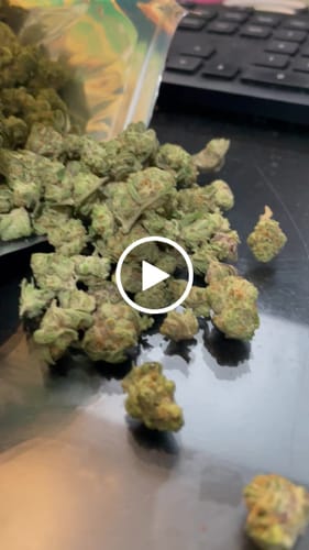 Customer video review of White Runtz Greenhouse High THCA Small Buds