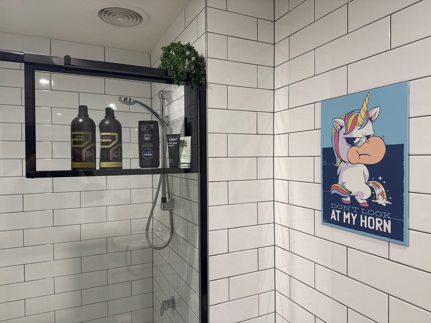 Customer photo review of Shower Shelf Caddy