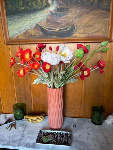 Customer photo review of Shipping Protection